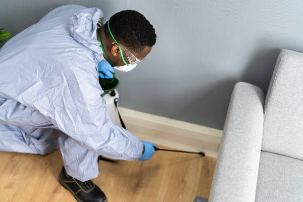 Best Pest Prevention Services  in Ke Arthur, LA